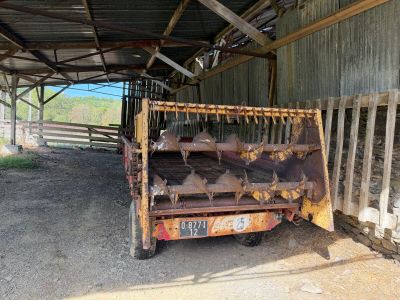 a truck that has a bunch of cows inside of it