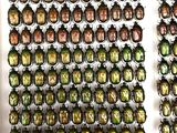 a lot of beetles that are hanging on the wall