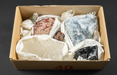 une boîte contenant toute une variété d'aliments différents