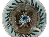 une photo d'un bol en verre contenant une fleur