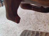 a statue of a horse that is standing on a table