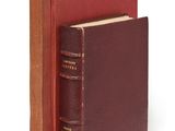 Photo 2/8 du lot