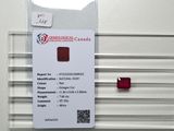 la carte est fixée au mur à l'aide d'un bouton rouge