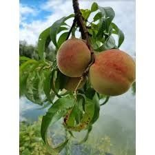 Destockage & Invendus