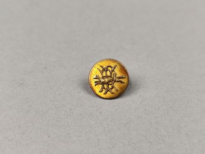 un gros plan sur un petit bouton doré posé sur une surface grise