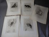 quatre dessins en noir et blanc représentant un chien et un chat sur une feuille de papier