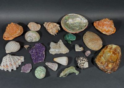 [MINÉRALOGIE] Lot comprenant :