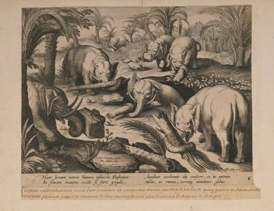 a drawing of a group of animals in a jungle