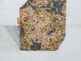 an image of a drawing of a piece of paper with flowers on it