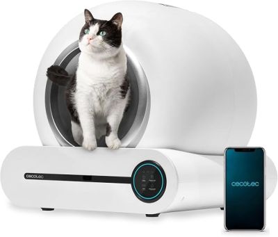 une photo d'un chat assis dans un bac à litière, à côté d'un téléphone portable