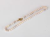 a close up of a white pearl necklace on a white surface