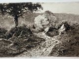 an image of a black and white drawing of a tree on a hill