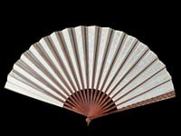 Myosotis, France, vers 1890 (photo 2)