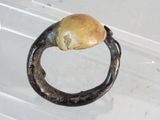 a ring with an apple inside of it on a white surface