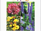 annuelies de a - z a - z a - z a - z a - z a - z a - z a - z a - z a
