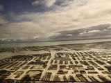 a picture of an aerial view of a city from a plane