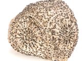 an image of a hedgehog made out of screws on a white background