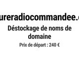 Photo 1/1 du lot