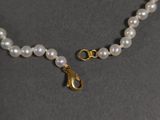 pearl necklace with a gold clasp and lobster charm