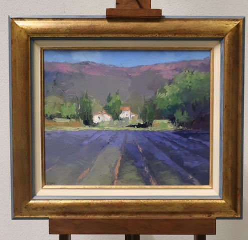 Alain FORJAN « Lavande du Lubéron ». Huile sur toile. Signée en b...