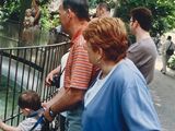 many people that are looking at a giraffe through a fence