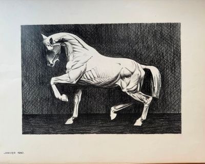a drawing of a horse that is standing on its hind legs