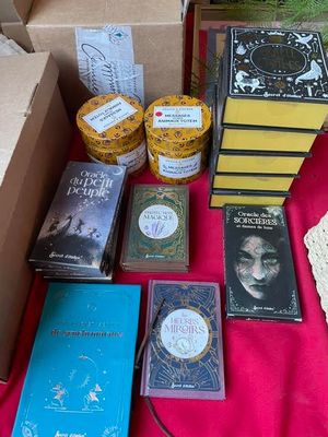 a lot of books and other items on a table