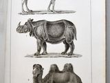 a picture of a book with a picture of animals on it