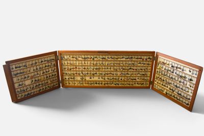 a wooden display case with a lot of bugs on it