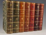 plusieurs vieux livres sont alignés sur une surface grise