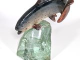 un poisson posé sur un rocher, sur un fond blanc