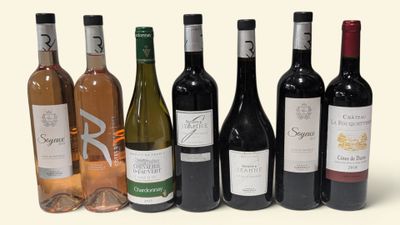 plusieurs bouteilles de vin sont alignées sur une surface blanche
