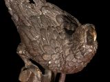 bronze statue of a bird perched on a branch with a black background
