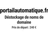 Photo 1/1 du lot