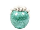 un vase vert contenant une fleur blanche
