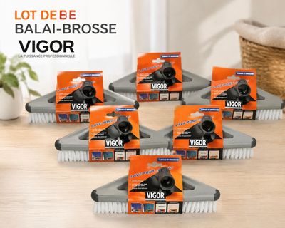 six types de balais différents posés sur une table, avec une plante en arrière-plan