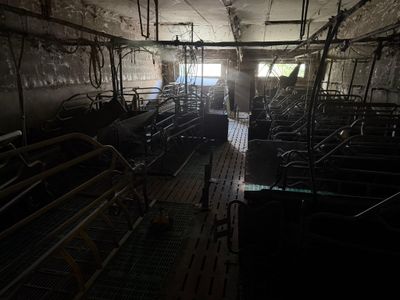 a room filled with lots of cows inside of it