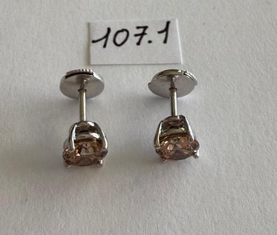 Paire de Clous d'oreilles en or gris et platine, sertis de 2…