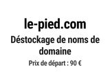 Photo 1/1 du lot