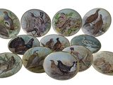 a lot of plates with birds on them on the table