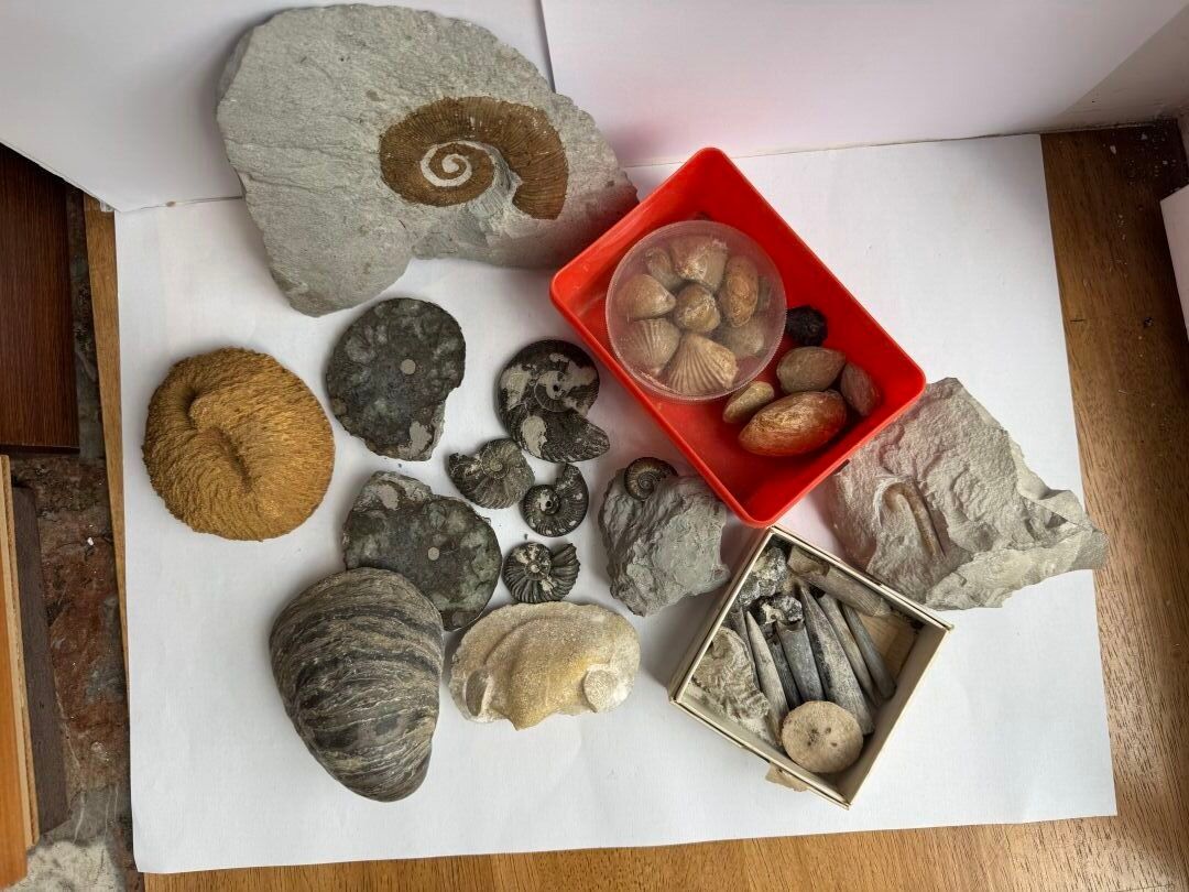 Objets d'art & Curiosités