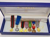 a blue box with medals and medals in it