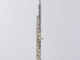 a silver flute on a clear stand against a white background