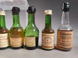 several bottles of alcohol are lined up on a table