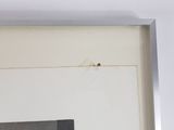 a picture of a picture of a lady bug in a picture frame