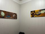 Photo 16/27 du lot