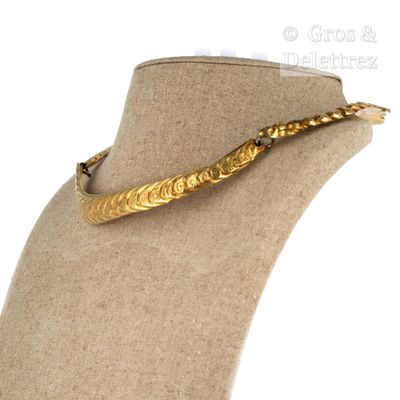 une photo d'un collier en or autour du cou d'un mannequin