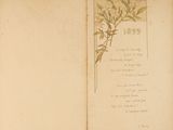 an old book with a drawing of a flower on it