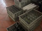 four crates of wine bottles and a bottle opener on the floor