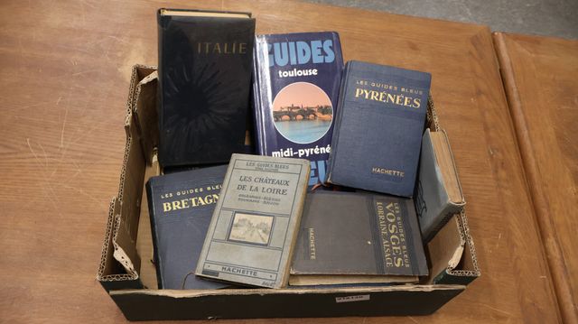 Guides bleus pays et régions